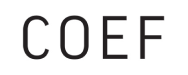 Koeffizient