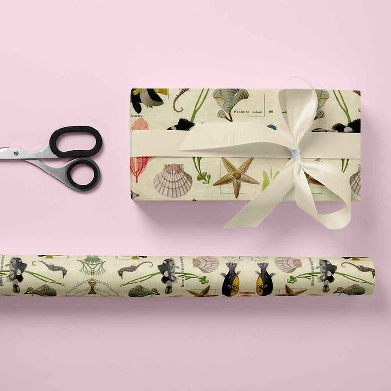 Geschenkpapier Sansibar 30cm x 200mtr