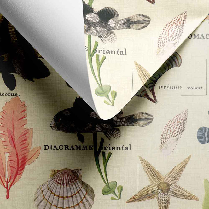 Geschenkpapier Sansibar 30cm x 200mtr